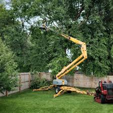 Tellico Village, TN Tree Care Company